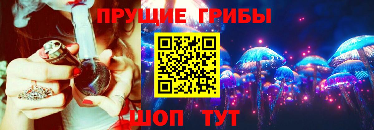 Мытищи  Галлюциногенные грибы Psilocybe  Галлюциногенные грибы Psilocybe  Вход с VPN 